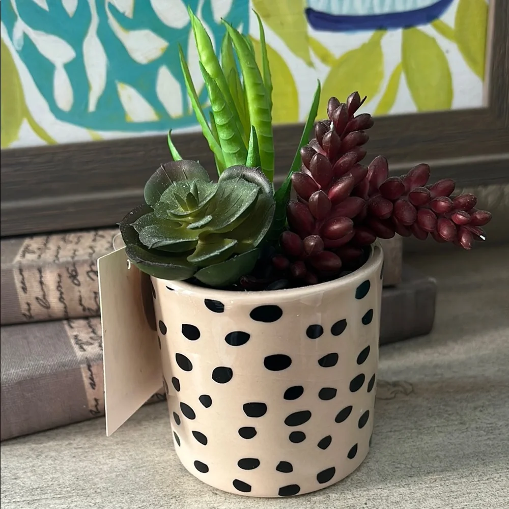 Polka Dot cheetah Planter with Succulents